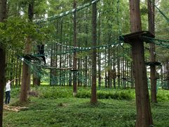 -黄海国家森林公园