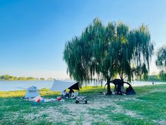 -合肥滨湖国家森林公园