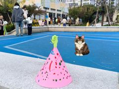 -青岛市市南区实验幼儿园(延吉路园)