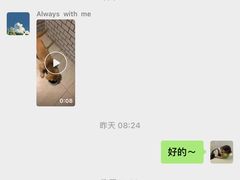 -趣玩宠物乐园寄养训犬训狗游泳池