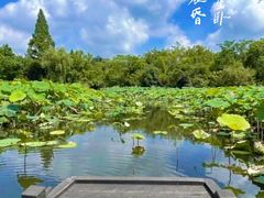 -西溪国家湿地公园