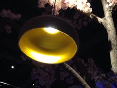-蜜桃餐厅·江浙融合菜(荟聚购物中心店)