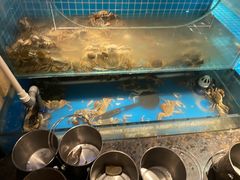 -星伦多自助料理·涮烤一体(虹悦城店)