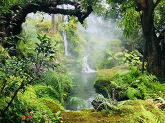 -Chom Cafe and Restaurant