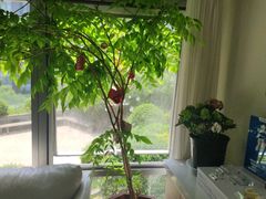 -精德口腔·种植修复·儿牙中心(财富中心店)