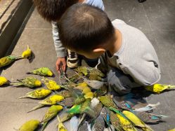 -酷嗒动物文化乐园(cutezoo西溪乐天城店)