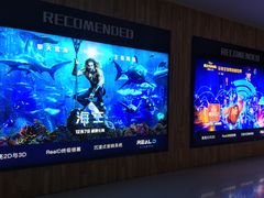 -奥斯卡升龙国际影城(RealD Cinema)