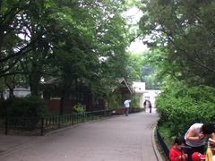 -紫竹院公园冰场