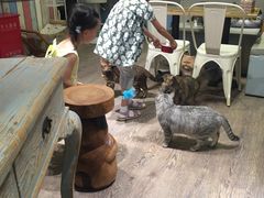 -小时光咖啡馆(开森度假森林店)