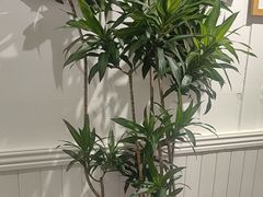 -小雅木姜子烤鸡·贵州菜(鸿通城店)