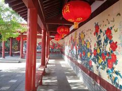 -神州牡丹园
