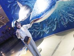 -烟台海昌鲸鲨海洋公园