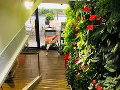 -Peet's Coffee皮爷咖啡(大学路店)