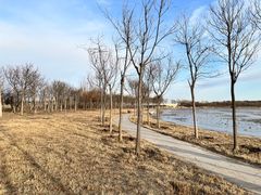 -天津东丽湖风景区