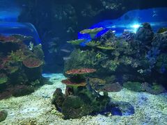 -江和美海洋公园