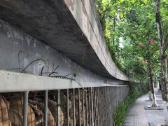 -重庆市江北嘴中央商务区中央公园