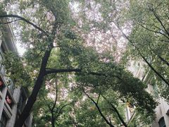 -飞马旅黎黄陂路文旅街区