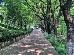 -天目湖山水园