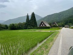 -白川乡与五箇山的合掌构造村落