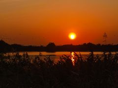 -芒洲湿地公园