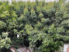 -烟桥私房菜馆(奋哥)