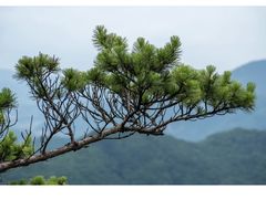 -本溪老边沟风景区