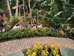 -北京植物园-展览温室