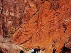 -天山神秘大峡谷