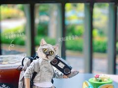 -星巴克(深圳侨城街店)