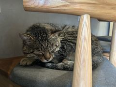 -常识咖啡common sense(春熙路店)