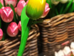 -阿姆斯特丹史基浦机场