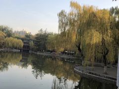-西安市长乐公园