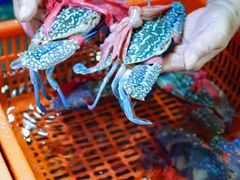 -巽寮印象美食部落餐厅·海鲜·地方特色菜(惠州体验店)