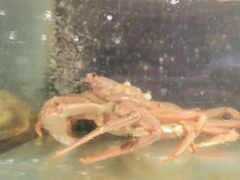 -万鱼亭 日本料理(无锡香山名园店)