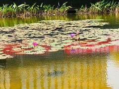 -星巴克(深圳前海企业公馆店)