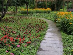 -吉林大学(前卫南区)