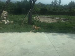 -西安秦岭野生动物园