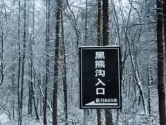 -光雾山旅游景区