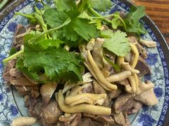 -九斤黄三黄鸡专卖店