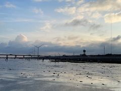 -南汇新城海滩