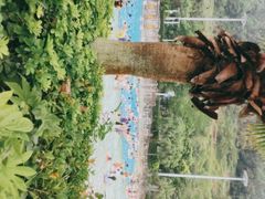 -重庆海昌加勒比海水世界