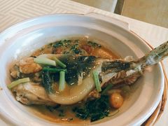 白汁河豚-扬州狮子楼·非遗淮扬菜(总店)