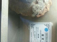 -台儿庄古城