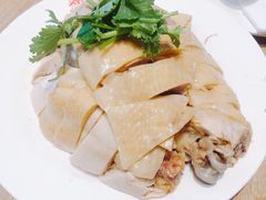 -泰煌鸡·上海白斩鸡·鸡汤面(鹤庆店)