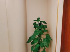 -鲁宴·鲁煨黄河生态大鲤鱼(月坛店)