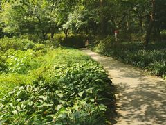 -杭州植物园