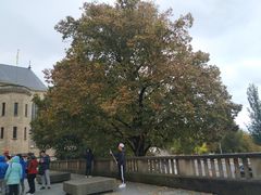 -卢森堡圣母教堂