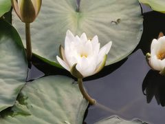 -长春公园(普阳街道)