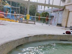-融汇温泉