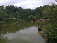 -厦门悦华酒店